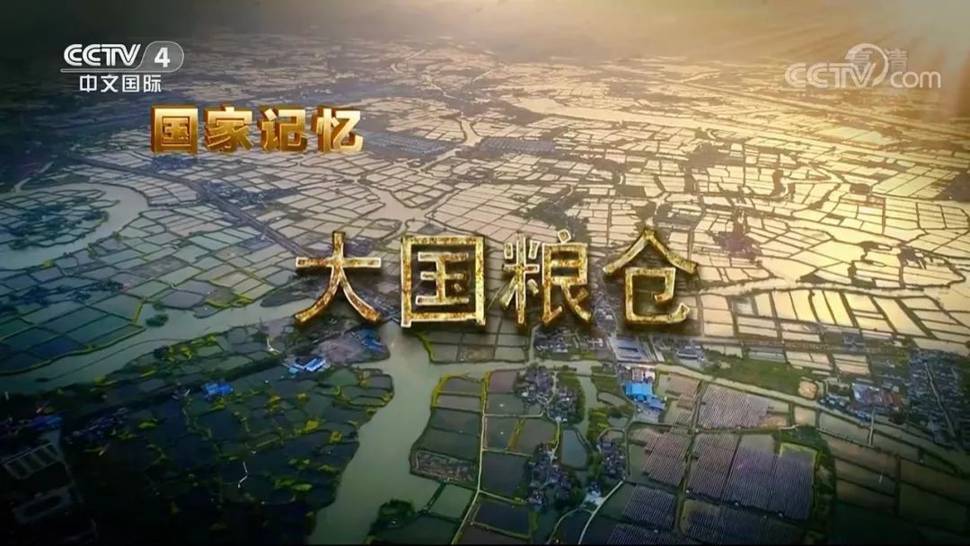 大国粮仓，粮食安全与国家发展