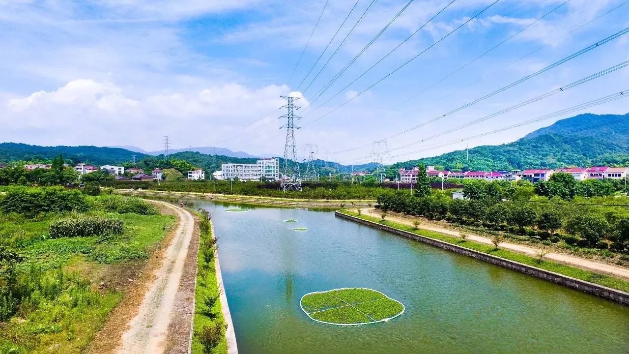 萧山宁围顺坝最新动态新闻速递