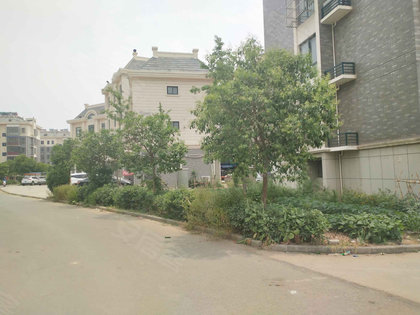 江南烟雨断桥殇 第52页
