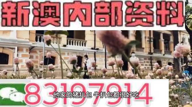 新澳门资料大全最新版本更新解析及犯罪问题警示