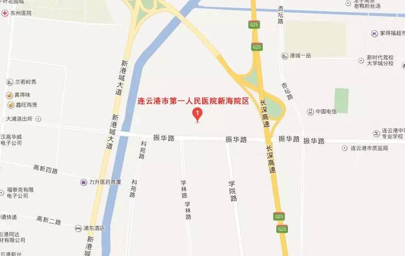 新海新区最新消息,一、新海新区概述