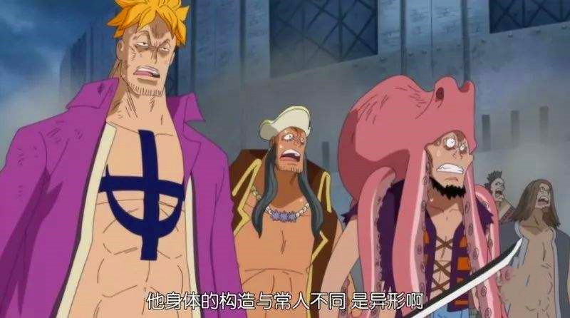 海贼王最新剧透,一、海贼王简介