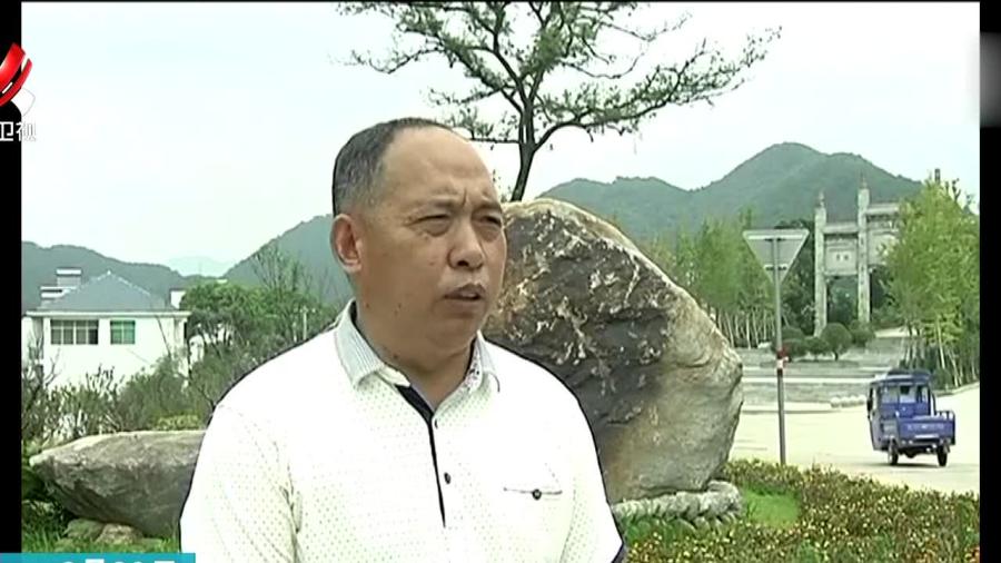 辽宁环保检查最新消息,辽宁环保检查最新动态，聚焦环保行动，共创绿色未来