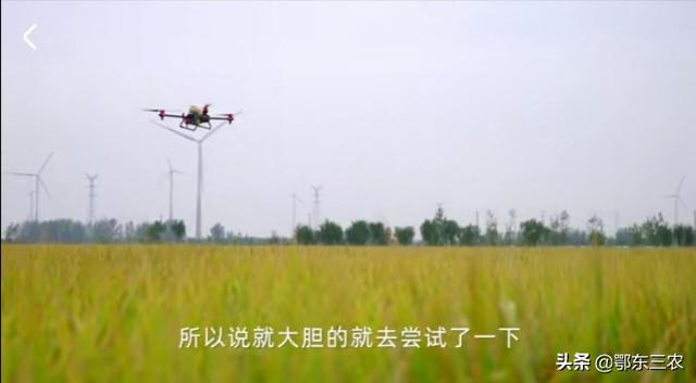 花开无言 第31页