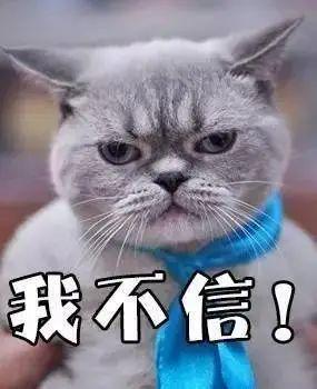 警惕非法破解软件，保护知识产权与个人信息安全——关于猫咪最新VIP破解版的警示标题
