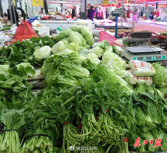 秋季蔬菜大量上市供应充足,标准化实施程序分析_安卓版28.194