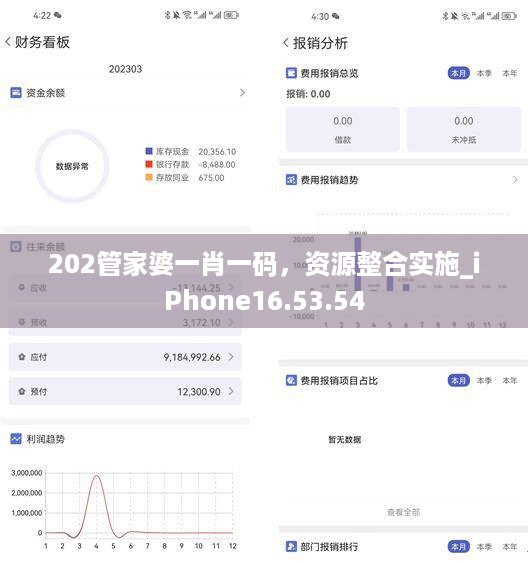 202管家婆一肖一码，资源整合实施_iPhone16.53.54