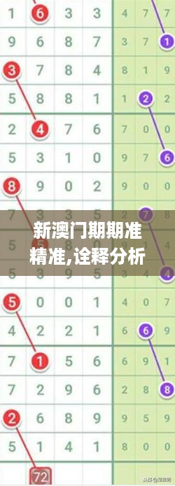 新澳门期期准精准,诠释分析解析_豪华版12.306