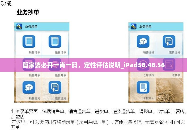 管家婆必开一肖一码，定性评估说明_iPad58.48.56