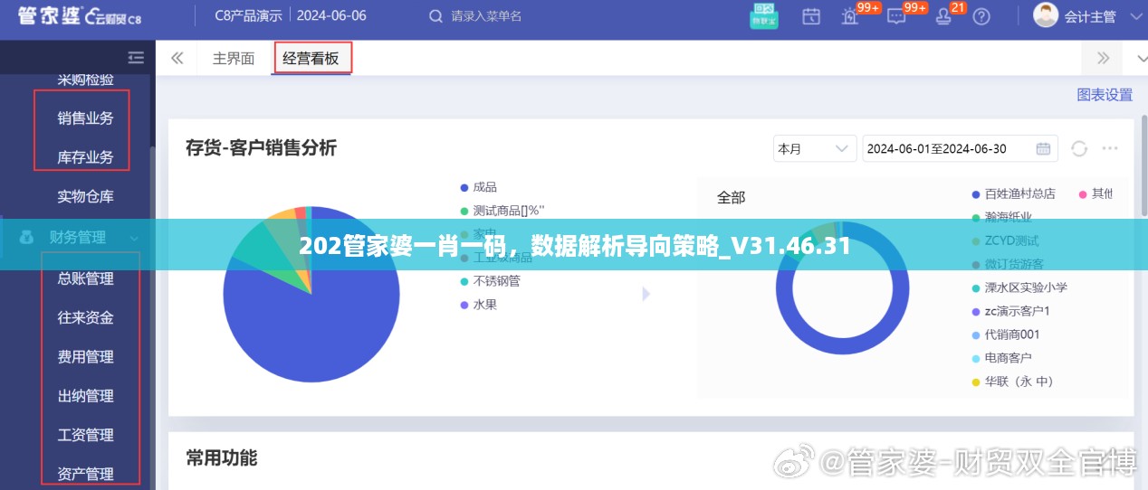 202管家婆一肖一码，数据解析导向策略_V31.46.31