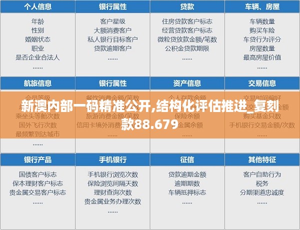 新澳内部一码精准公开,结构化评估推进_复刻款88.679