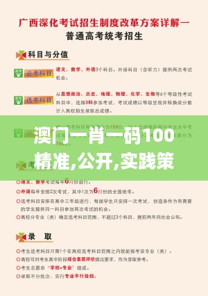 澳门一肖一码100精准,公开,实践策略实施解析_PalmOS30.337