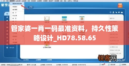 管家婆一肖一码最准资料，持久性策略设计_HD78.58.65