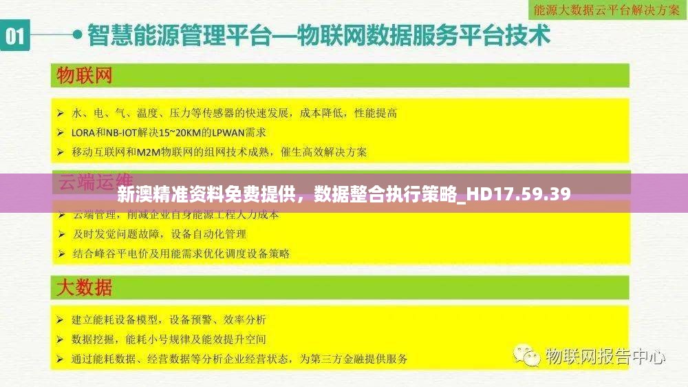 新澳精准资料免费提供，数据整合执行策略_HD17.59.39