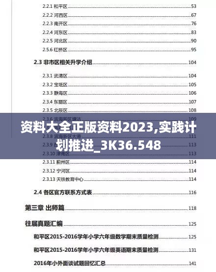 资料大全正版资料2023,实践计划推进_3K36.548