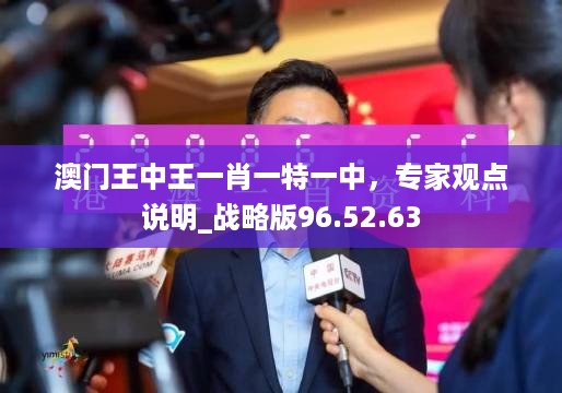 澳门王中王一肖一特一中，专家观点说明_战略版96.52.63