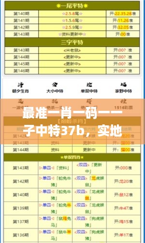 最准一肖一码一一子中特37b，实地验证执行数据_VIP96.10.20