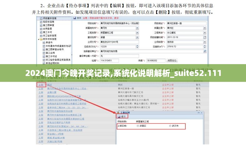 2024澳门今晚开奖记录,系统化说明解析_suite52.111
