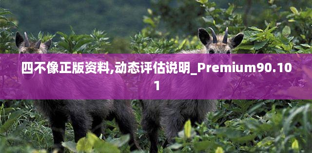 四不像正版资料,动态评估说明_Premium90.101