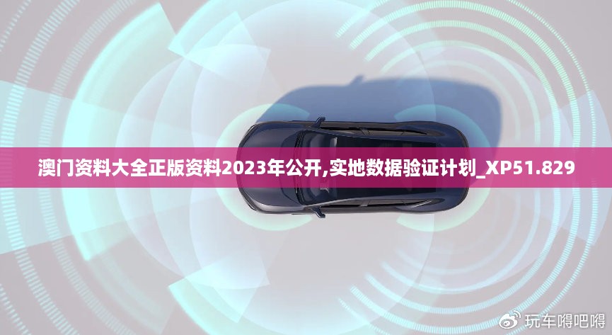 澳门资料大全正版资料2023年公开,实地数据验证计划_XP51.829