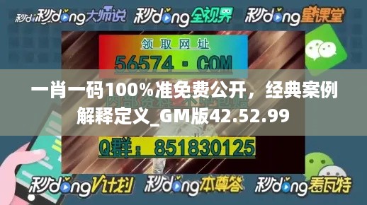 一肖一码100%准免费公开，经典案例解释定义_GM版42.52.99