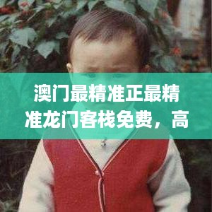 澳门最精准正最精准龙门客栈免费，高效计划设计实施_GM版89.98.68