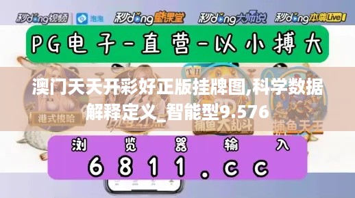 10使用二八 第26页