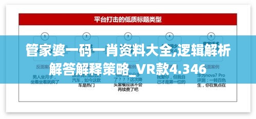 管家婆一码一肖资料大全,逻辑解析解答解释策略_VR款4.346