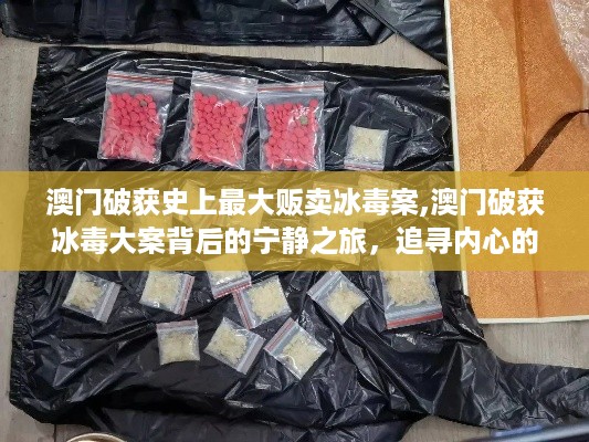 澳门冰毒大案揭秘，探寻内心平和与自然的魅力之旅