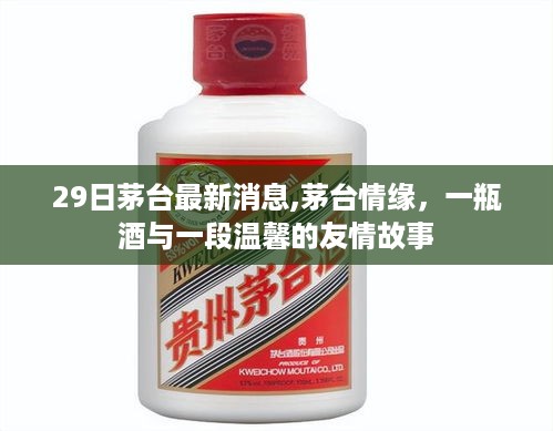 茅台最新消息揭秘，一瓶酒背后的温馨友情故事