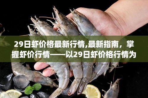 最新指南，掌握虾价行情——以29日虾价格行情为例