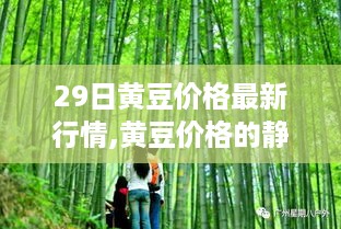 黄豆价格最新行情，静谧之旅探寻内心平和，与自然美景的邂逅