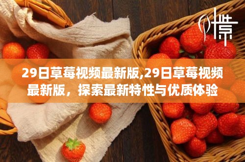 admin 第24页