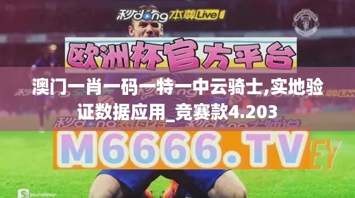 澳门一肖一码一特一中云骑士,实地验证数据应用_竞赛款4.203