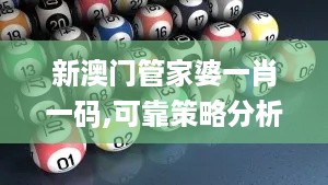 新澳门管家婆一肖一码,可靠策略分析_经典制0.133