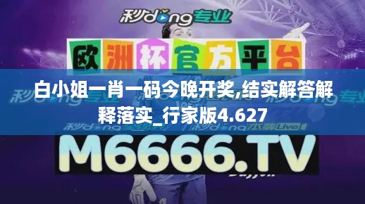 白小姐一肖一码今晚开奖,结实解答解释落实_行家版4.627