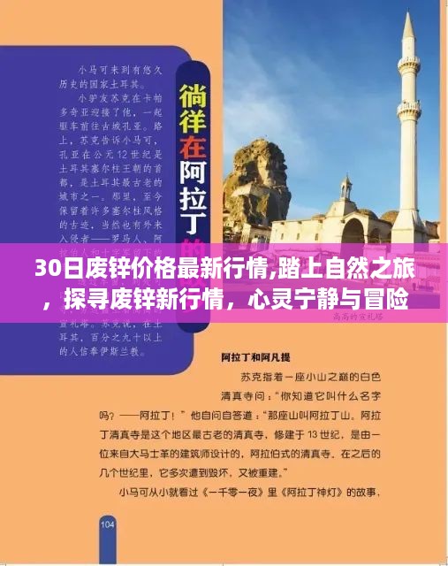 废锌价格最新行情，自然之旅与冒险之旅的完美结合