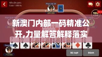 新澳门内部一码精准公开,力量解答解释落实_游戏集6.112