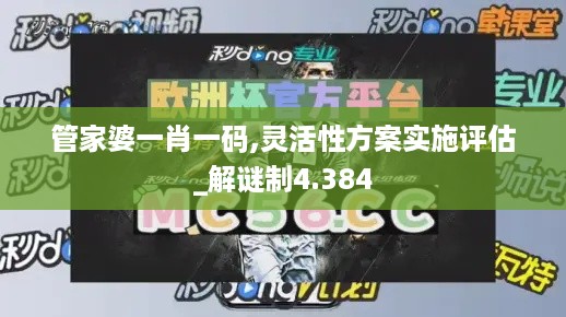 管家婆一肖一码,灵活性方案实施评估_解谜制4.384