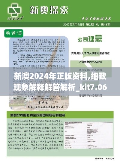 新澳2024年正版资料,细致现象解释解答解析_kit7.064