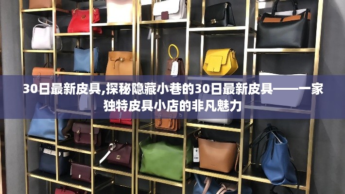 探秘独特皮具小店的非凡魅力，最新皮具30日精选展示
