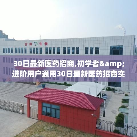 30日最新医药招商实战指南，初学者与进阶用户的通用指南