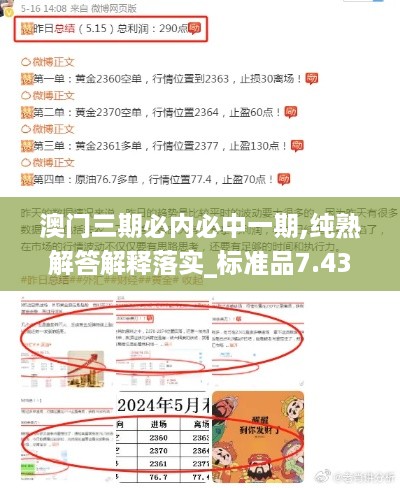 澳门三期必内必中一期,纯熟解答解释落实_标准品7.436