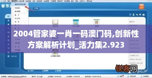 2004管家婆一肖一码澳门码,创新性方案解析计划_活力集2.923