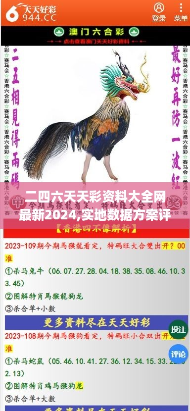 二四六天天彩资料大全网最新2024,实地数据方案评估_白金版7.138