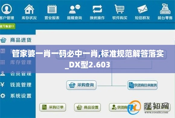 管家婆一肖一码必中一肖,标准规范解答落实_DX型2.603