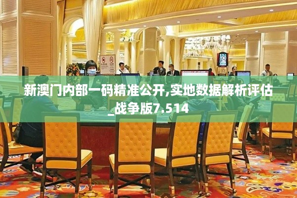 新澳门内部一码精准公开,实地数据解析评估_战争版7.514