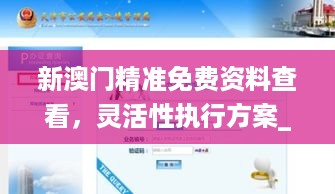 新澳门精准免费资料查看，灵活性执行方案_界面版7.80.192