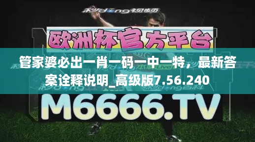 2024年10月31日 第113页