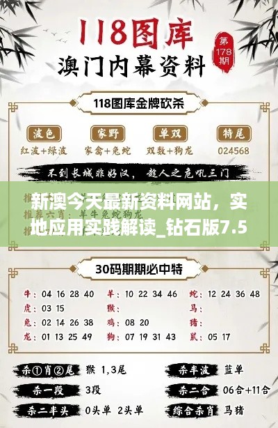 新澳今天最新资料网站，实地应用实践解读_钻石版7.56.213